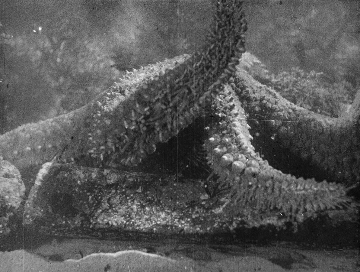 Return to Reason: Four Films by Man Ray (Blu-Ray) - Criterion Collection Preorder