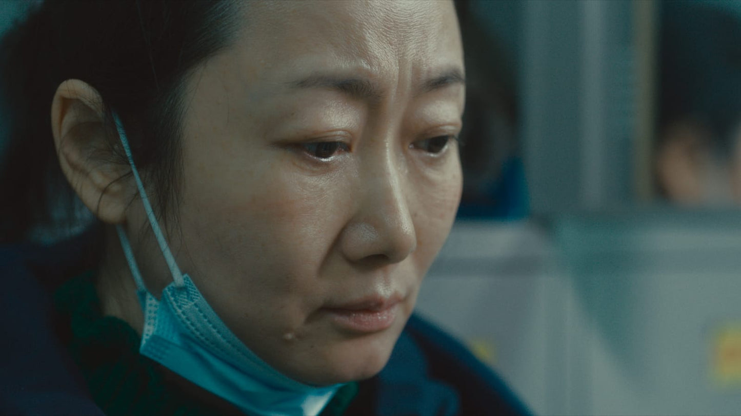 Caught by the Tides (2024) Blu-Ray Criterion Collection Preorder